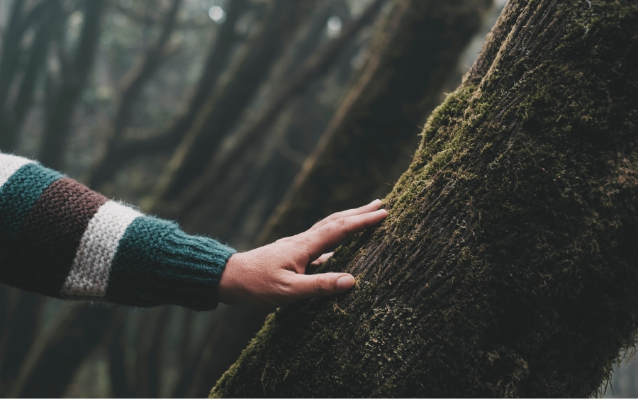 コンセプト・世界観設計